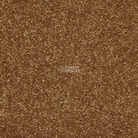 Ковролин AW Invictus Atticus Atticus 80 фото 1 | FLOORDEALER